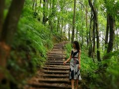 -广州市帽峰山景区