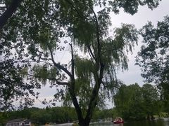 -上海共青森林公园