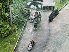 -圣淘沙天际线斜坡滑车