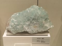 -天津自然博物馆