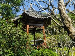 -云溪植物园
