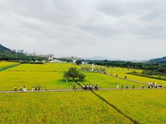 -风云岭森林公园