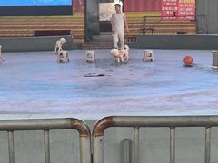 -石家庄市动物园