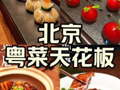 -觅唐MITONG(鸟巢店)
