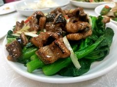 -顺德渔鲜酒家