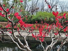 -元大都城垣遗址公园