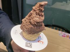 百年巧克力冰淇淋-野人先生现做冰淇淋(北京顺义祥云小镇店)