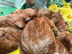 -宜家家居(四元桥商场店)