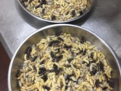 -洞背山庄(洞背院区式管理小区店)