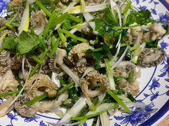 芫爆肚丝-新月斋(豆瓣胡同店)
