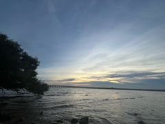 -宝安西湾红树林湿地公园