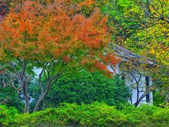-惠山国家森林公园