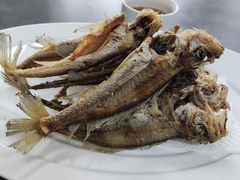 -沪依小酒馆心意菜