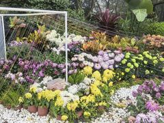 -南山植物园