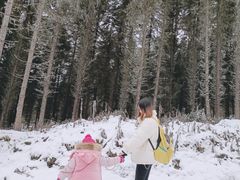 -硗碛藏寨·神木垒景区