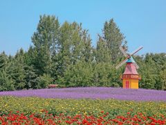 -北纬44度·金珠花海休闲农业旅游景区