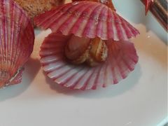 -星伦多 自助料理(圆融店)