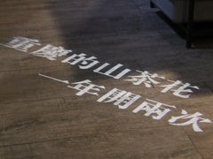 -锅说大脸毛肚重庆老火锅(佐阾店)