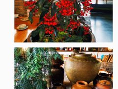 -几荷·恰似故人来(秀水广场店)