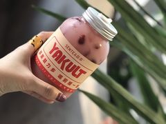 红石榴益力多-SENTEA森茶(麦地丽日店)