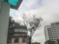 -崂山印象·青岛·海鲜渔家菜