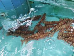 -大水车公馆·顺德菜·妈姐菜(均安店)