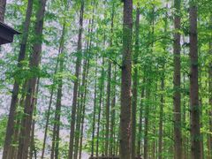 -南京金牛湖风景区