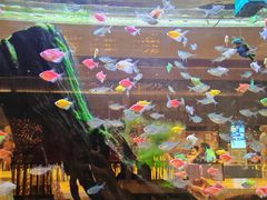 -大江户·温泉洗浴(浑南店)