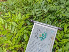 -世间香境·七溪地