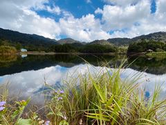 -海南热带雨林国家公园吊罗山景区