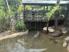 -热带雨林自然公园