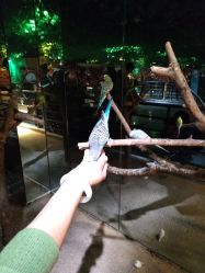 -酷嗒动物文化乐园(cutezoo西溪乐天城店)