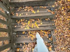 -帽儿山国家森林公园