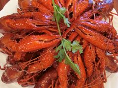 精品蒸虾-郑东靓靓虾馆·金牌油焖大虾(天泽街店)