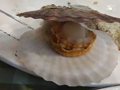 -华圆美食-老蓬莱菜(蓬港路店)