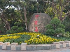 -野狸岛