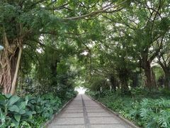 -南宁南湖公园