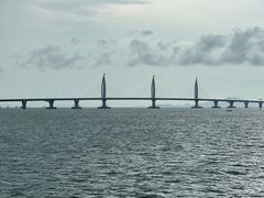 -港珠澳大桥(珠海段)