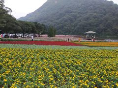 -广州市石门国家森林公园