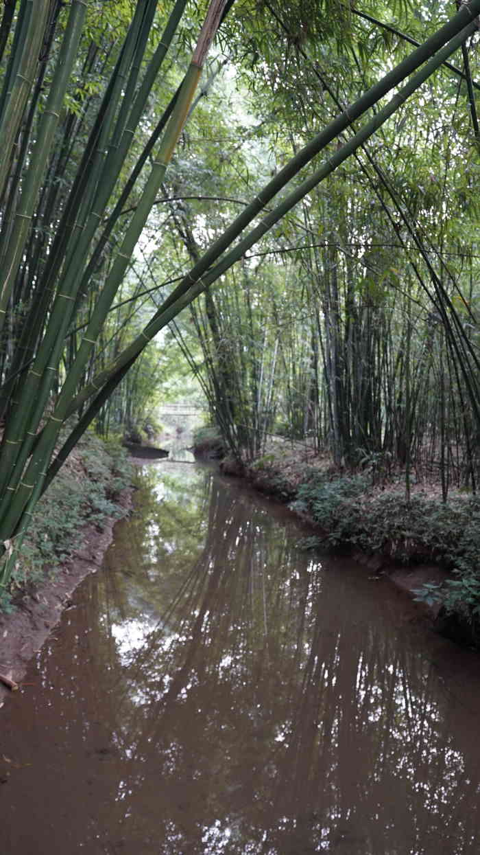 蜀南竹海紫竹山庄酒店(原忘忧家园酒店"酒店价格不贵,但环境超级好