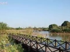 -梁鸿国家湿地公园