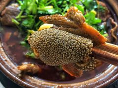 -余家庄肥肠鱼地方汤锅(银杏大道店)