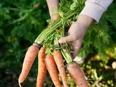 -新塘水果乐园(东洲大道店)