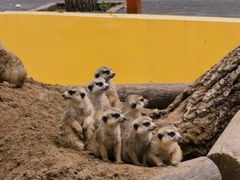 -北京野生动物园