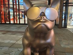 -月星家居广场-路面停车场