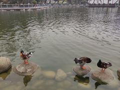 -莲湖公园