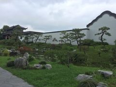 -盆景园(扬州大运河文化旅游度假区)