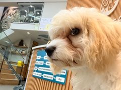 -联合动物医院(光谷诊疗中心)