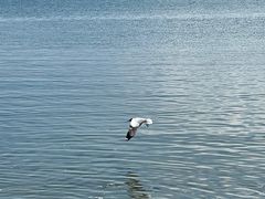 -青海湖二郎剑景区