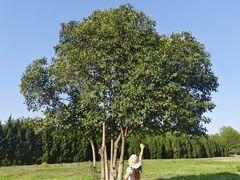 -汉长安城未央宫国家考古遗址公园